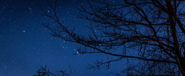 Dağ 'ın en iyi manzarası. Fuji