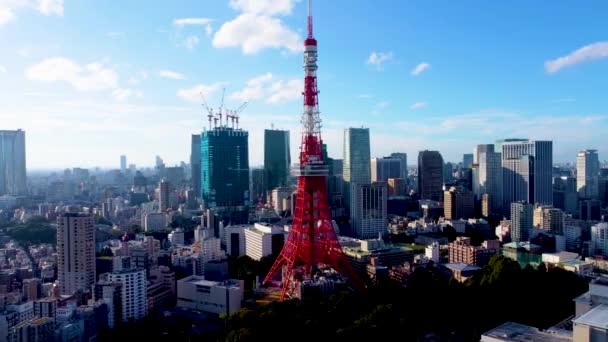 Авіаційний Вигляд Токіо — стокове відео