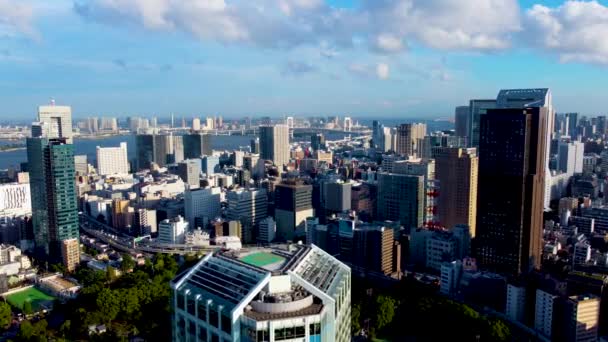 Εναέρια Άποψη Του Τόκιο — Αρχείο Βίντεο