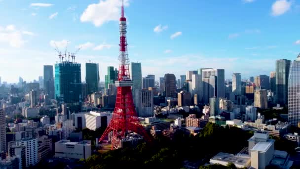 Letecký Pohled Tokio — Stock video