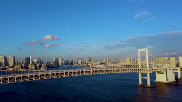 Авіаційний Вигляд Токіо — стокове відео