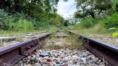 Güneşli bir günde tren yolu