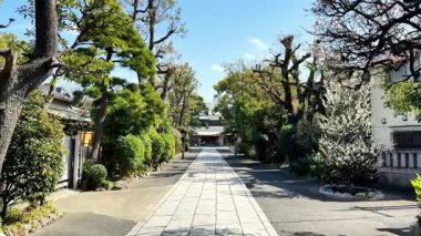 Şehrin güzel manzarası