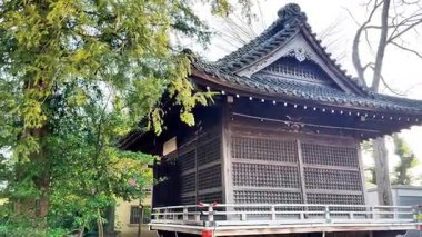 Parktaki Çin tapınağı.