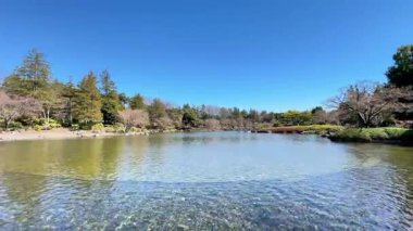 Güzel göl manzarası