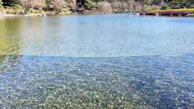 Parktaki gölün güzel manzarası