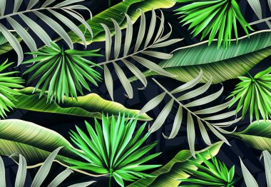 Tropical palm leaves, in Hawaiian style