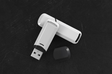 İki flaş bellek üst görünüm modeli