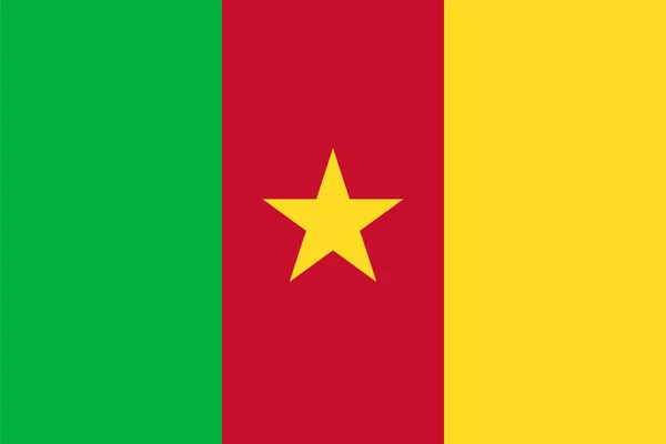 Kamerun bayrağı için standart oranlar — Stok Vektör