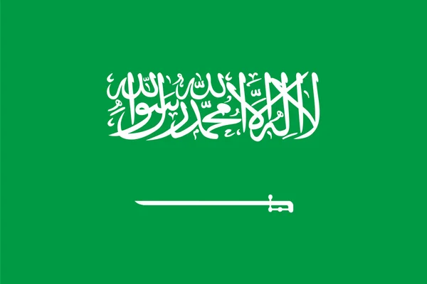 Proporciones estándar para la bandera de Arabia Saudita — Archivo Imágenes Vectoriales