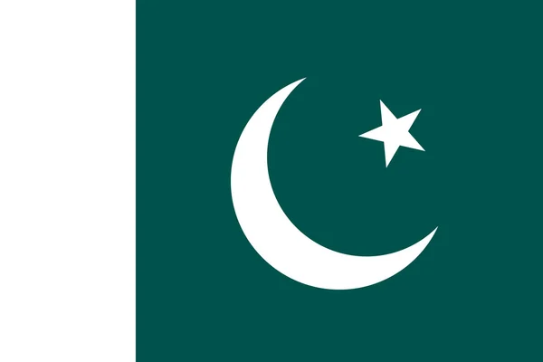 Pakistan bayrağı için standart oranlar — Stok Vektör