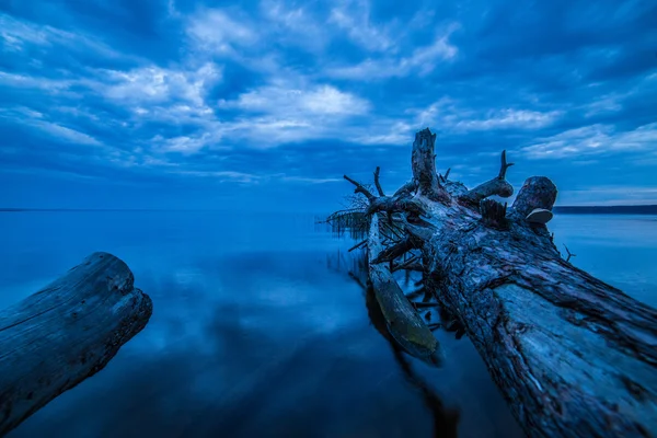 Arbre tombé coucher de soleil rivière — Photo