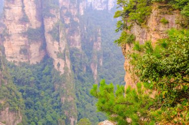AVATAR Dağı, Zhangjiajie 'nin Ulusal Orman Parkı