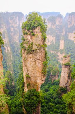 AVATAR Dağı, Zhangjiajie 'nin Ulusal Orman Parkı