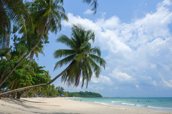 コココナッツの木やヤシの木 トンプーン省のThung Wua Laen Beach 熱帯ビーチの海辺と青い空の視点 — ストック写真