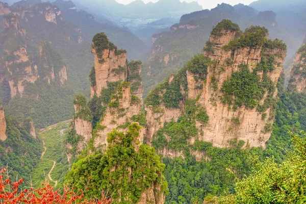 Montagna Avatar Parco Nazionale Della Foresta Zhangjiajie — Foto Stock