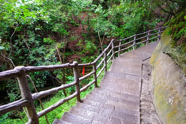 Montagne Avatar Parc Forestier National Zhangjiajie — Photo