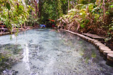 Surat 'taki Ban Nam Fare Havzası Tayland, Tropikal Orman