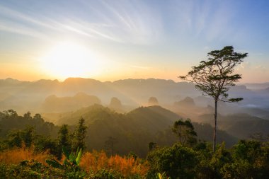 Doi Ta Pang (khao thalu) Chumphon, Tayland 'da Tropikal Doğa