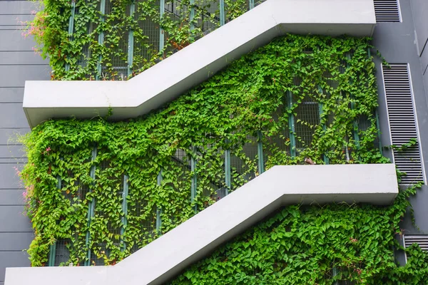 Eco building with plants on the wall