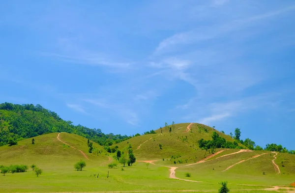 Bald Mountain Est Beau Paysage Herbe Champ Ranong Thaïlande — Photo