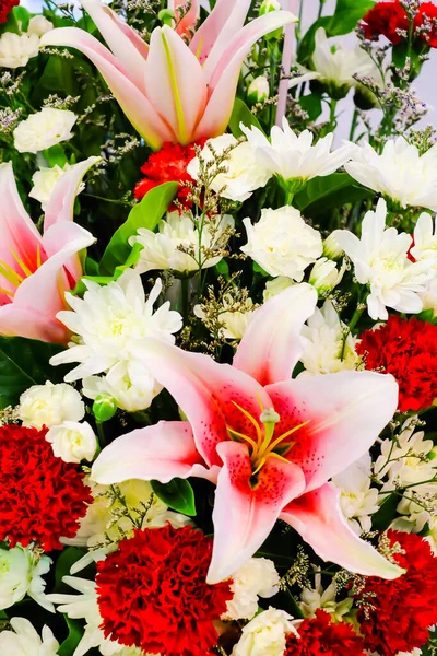 Rózsaszín Liliom Virág Háttér — Stock Fotó