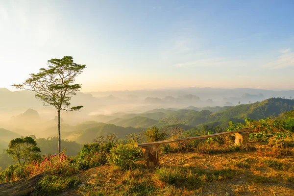 Doi Pang Khao Thalu Chumphon Nature Tropicale Thaïlande — Photo