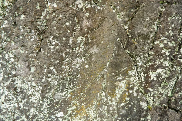 Stenen Muur Achtergrond Texturen — Stockfoto