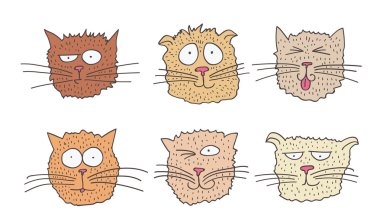 Bir grup komik kedi.