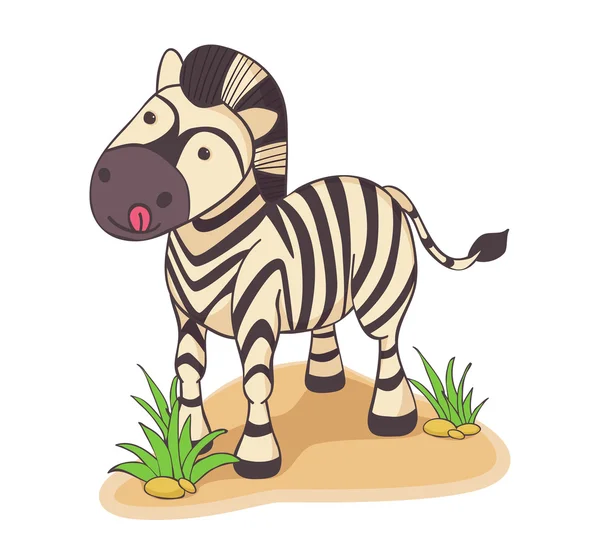 Hand drawn illustration of Zebra — Stock Vector