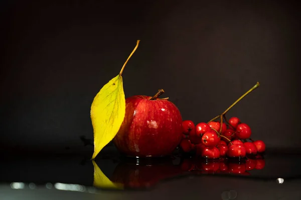 Herfst Stilleven Een Donkere Achtergrond — Stockfoto