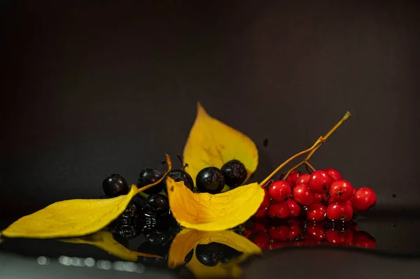 Herbst Stillleben Auf Dunklem Hintergrund — Stockfoto