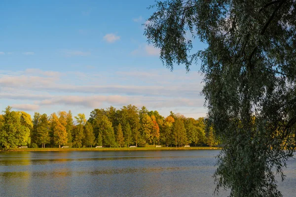 호수와 나무가 — 스톡 사진