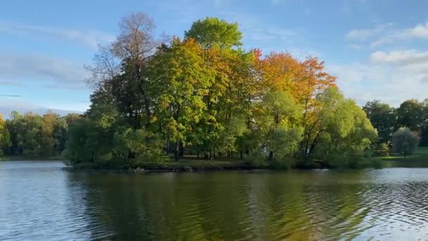 Осінній Пейзаж Парку — стокове відео