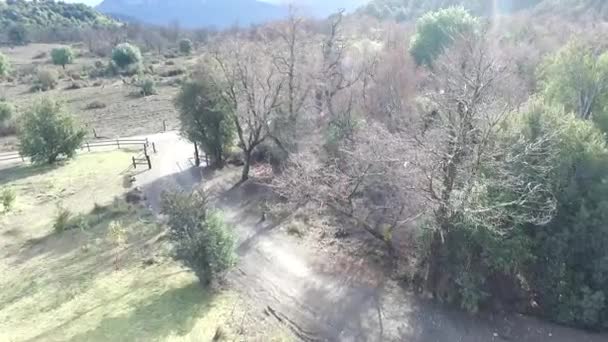 Vista aérea de los bosques de montaña — Vídeo de stock