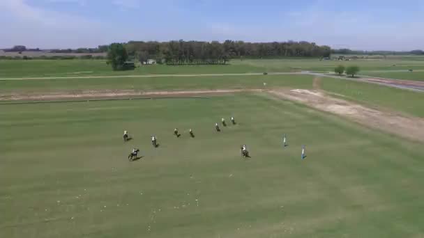 Polo Match aus der Luft Drohnen-Ansicht Szene. — Stockvideo