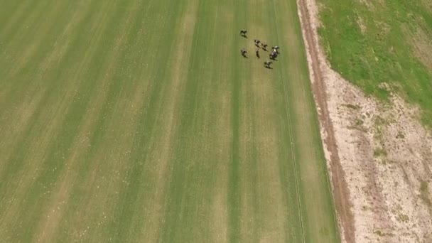 Polo Match aus der Luft Drohnen-Ansicht Szene. — Stockvideo