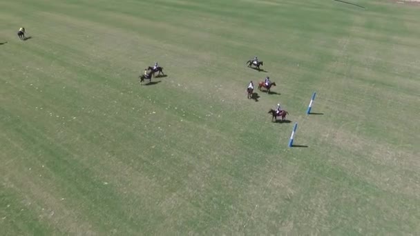 Polo Match aus der Luft Drohnen-Ansicht Szene. — Stockvideo