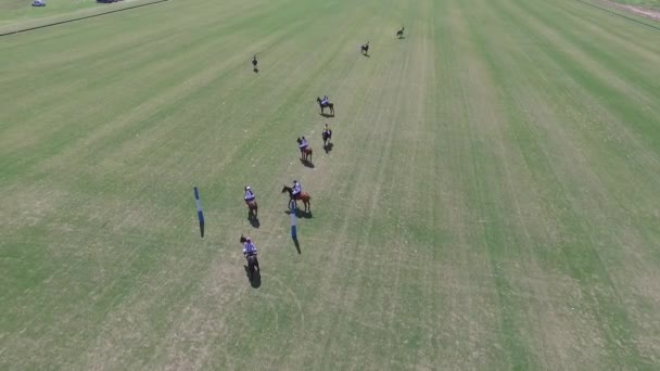 Polo Match aus der Luft Drohnen-Ansicht Szene. — Stockvideo