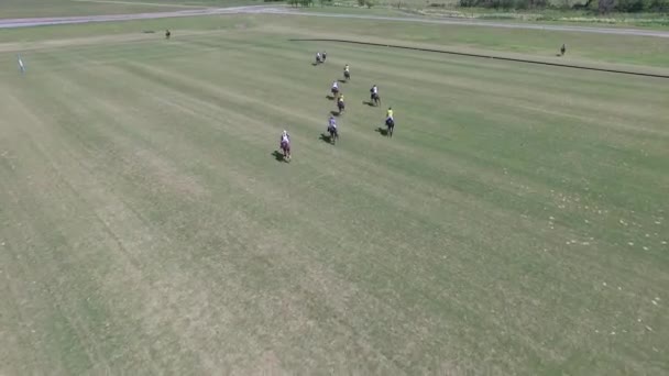 Polo partido aéreo drone ver escena . — Vídeos de Stock