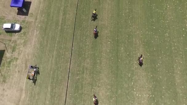 Match de polo vue aérienne de drone scène . — Video