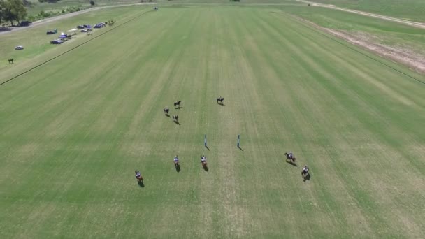 Polo match aerial drone view scene. — Stock Video