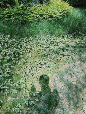 Arka bahçemde bir gün