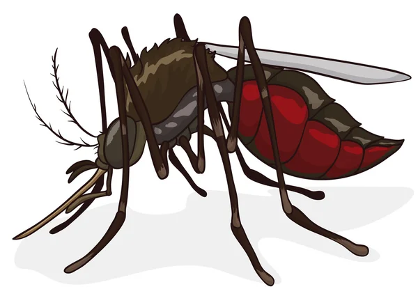 Komár, izolováni v kreslený styl, vektorové ilustrace — Stockový vektor
