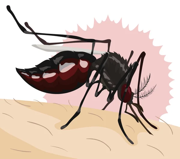 Mosquito mordiendo a una persona, ilustración vectorial — Archivo Imágenes Vectoriales