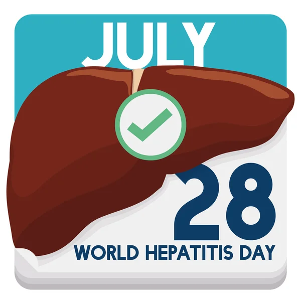 Calendário de folhas soltas com data de lembrete do Dia Mundial da Hepatite, ilustração vetorial — Vetor de Stock