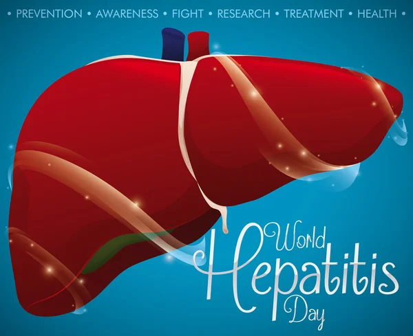 Poster met hernieuwde en beschermde de lever op World Hepatitis Day, vectorillustratie — Stockvector