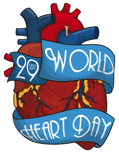 Cartoon Heart Design z wstążkami do upamiętnić Światowy dzień serca, wektor ilustracji — Wektor stockowy
