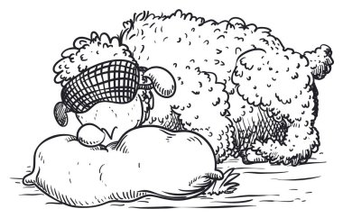 Yastıkta uyuyan sevimli koyunlar, uyku maskesi takıp rüya görüyorlar..