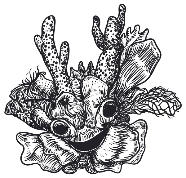珊瑚特征 由息肉 海葵及其他海洋生物制成 形成笑容满面的外骨骼 — 图库矢量图片